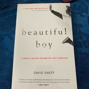 Beautiful Book Novel/Book - Addiction Story by Parent